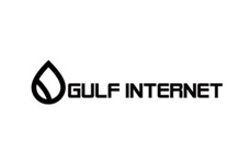 Gulf Internet Outage