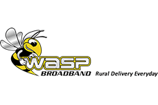 Wasp